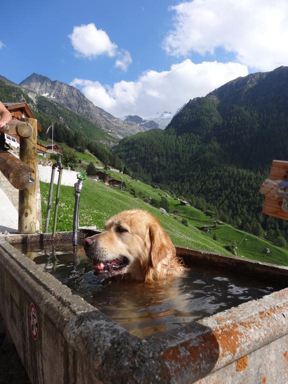 Panorama - Lovely Place In Nature Gasenried Exterior photo